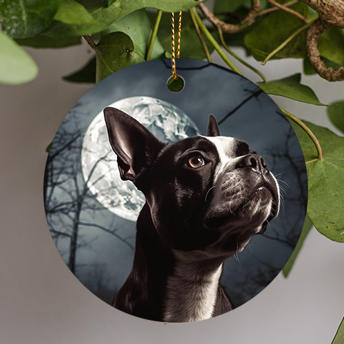 This Everyday Ornament is a photo realistic image of a black and white Boston terrier with brown eyes looking up to the sky.  A blue full moon sits in the sky as the bare trees peek into the background.