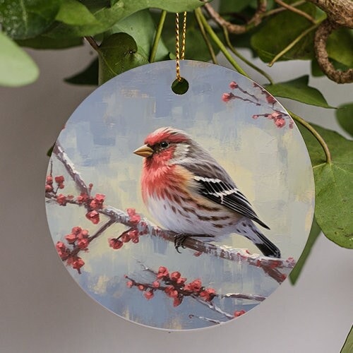 This ornament displays a relaxed 	Hoary Redpoll with soft red gray blending seamlessly to golden white feathers presenting a warm feeling to it perched on a frozen branch with cherry blossoms just beginning to bloom.