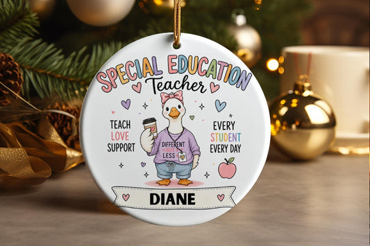 Personalized Special Education Teacher Goose Ornament 2026, Custom SPED Christmas Gift